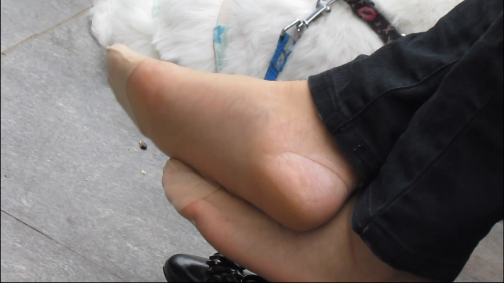 streetsnapnylon[00 03 02][20181205 223606 2]